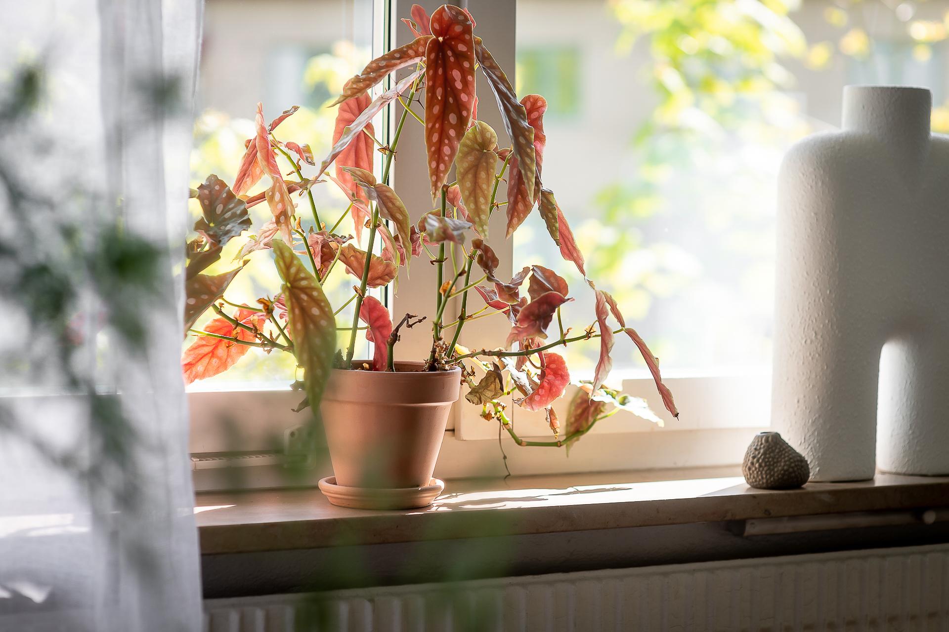 Vackra fönsterbänkar i sten från förr