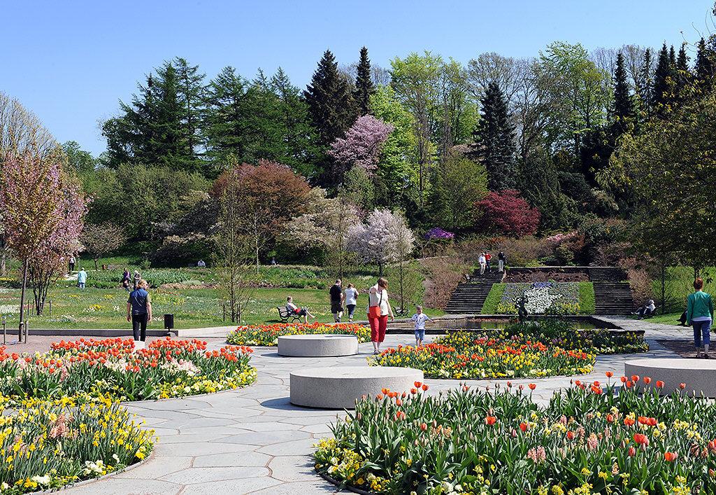 Njut av Botaniska trädgården & Änggårdsbergen en kort bit bort