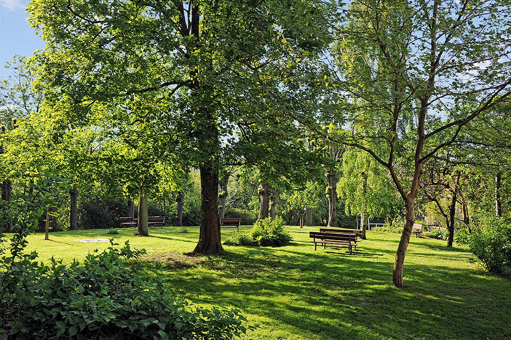 Den här parken måste upplevas på plats