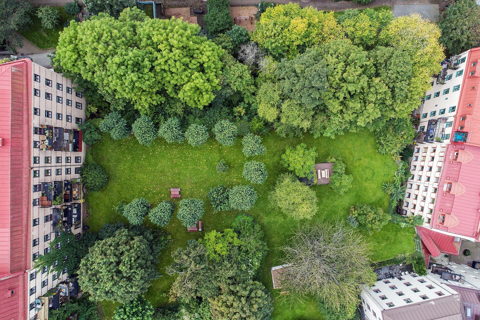 En "egen" park utanför dörren