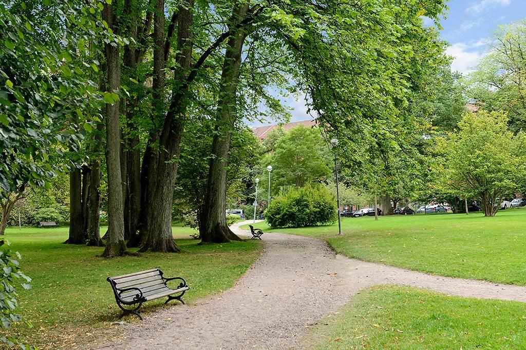 Snart grönskar det i Carlandersparken som du hittar precis runt hörnet