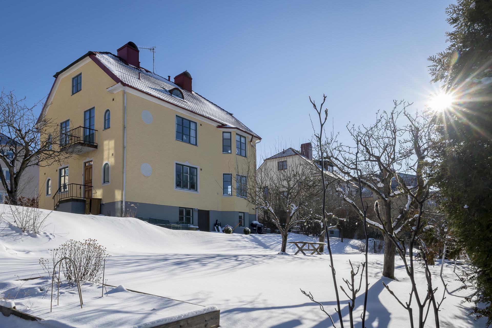 Den stora trädgården med flertalet fruktträd, stora gräsytor och härlig kvällssol