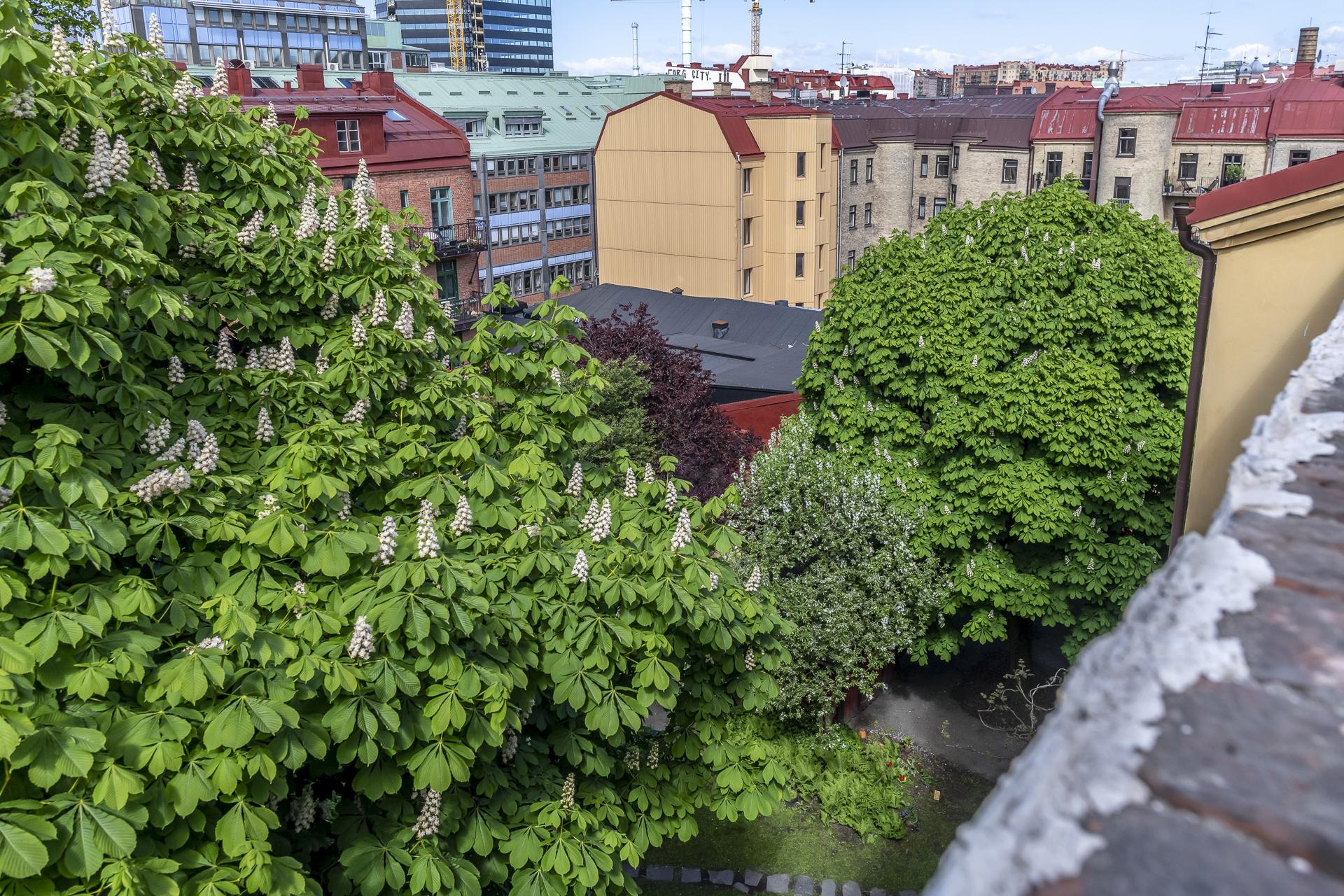 Utsikt från terrassen