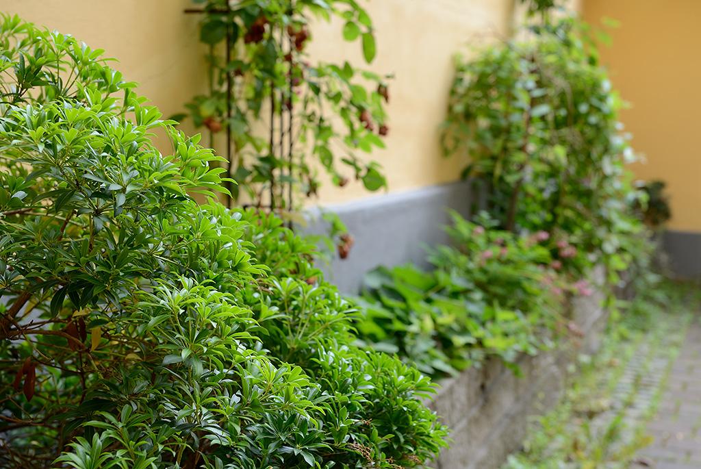 Här finns grönska, utemöbler och cykelparkering