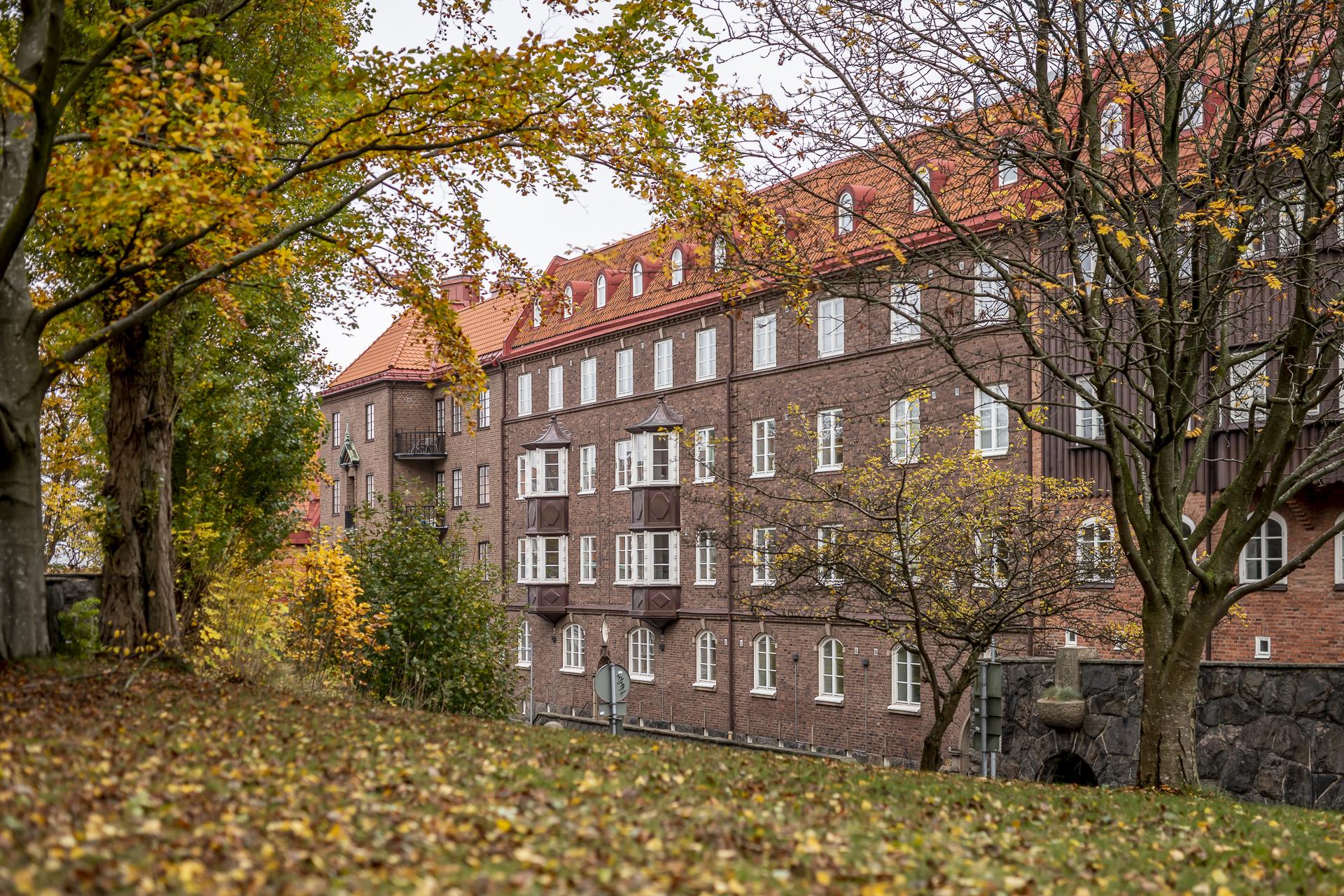 Välskött förening