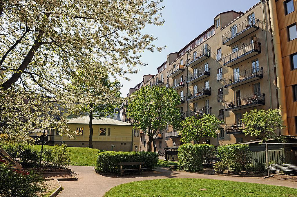 Kvarterets gröna oas