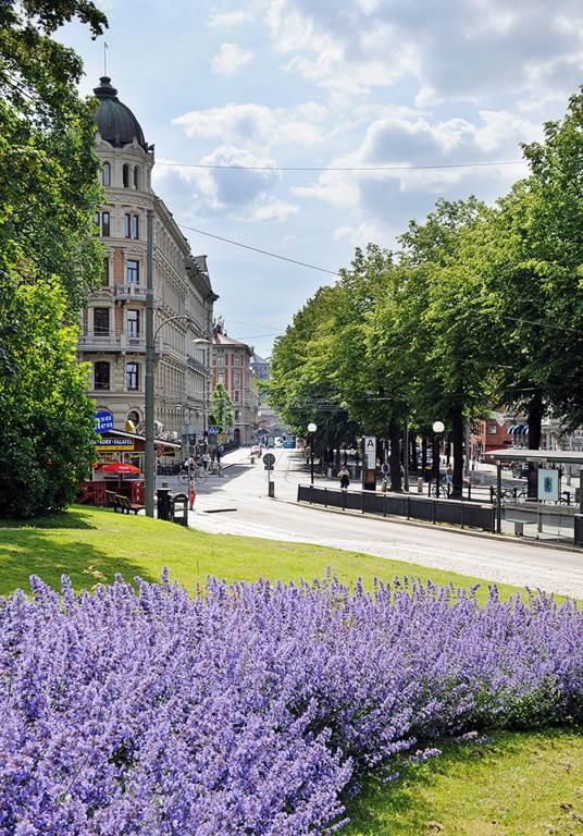 Vid Vasaplatsen knyts kollektivtrafiken samman