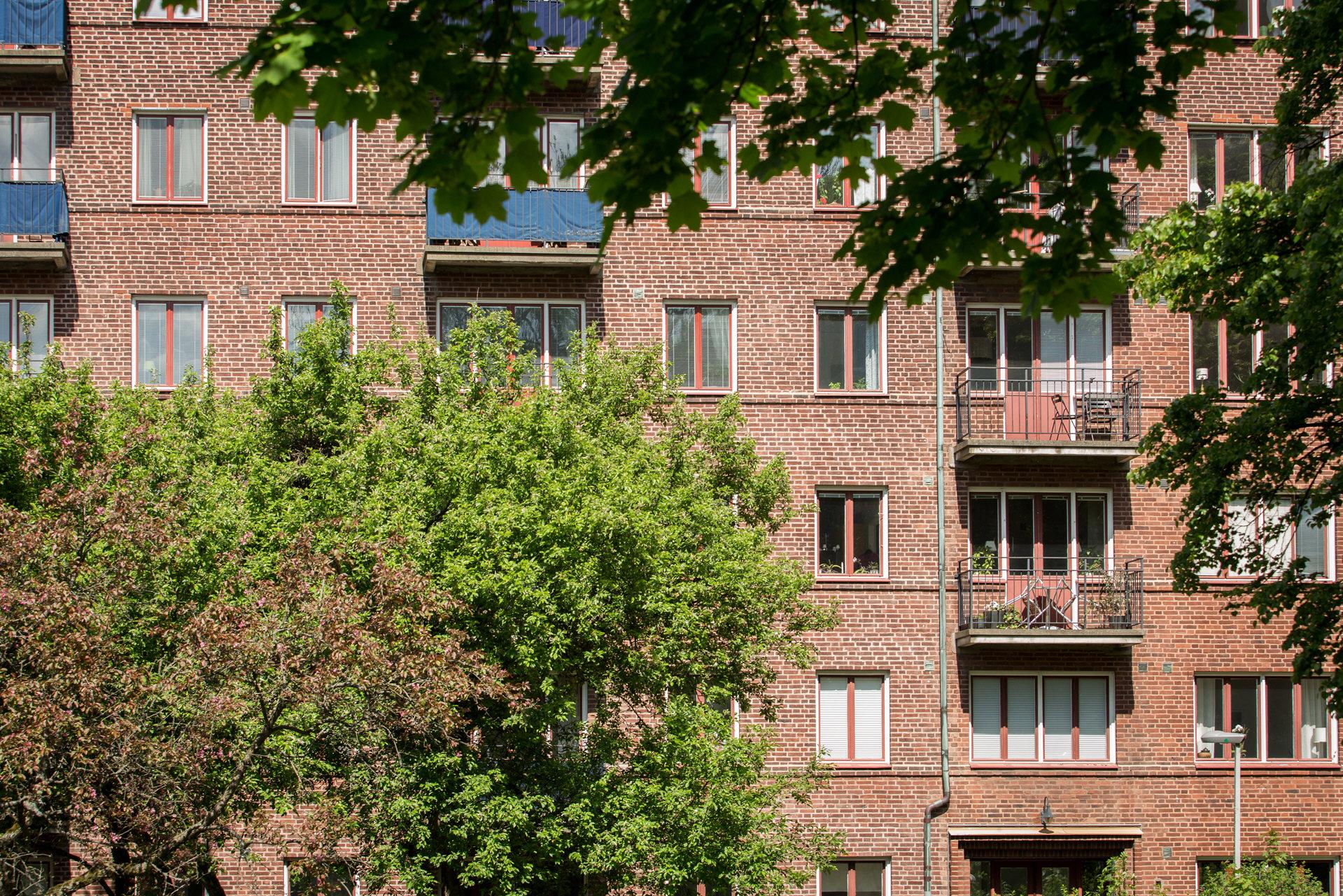 Brf Grönsiskans fastighet är inbäddad i grönska