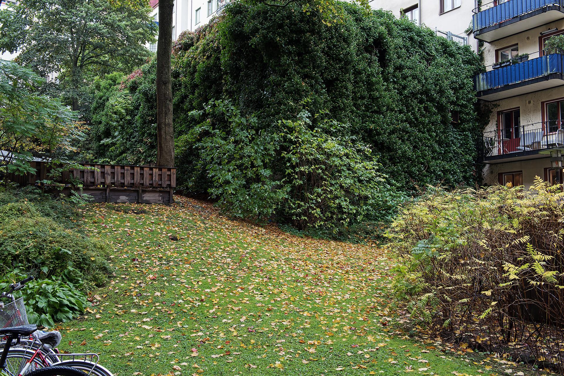 Föreningens lummiga innergård med plats för grill och lek