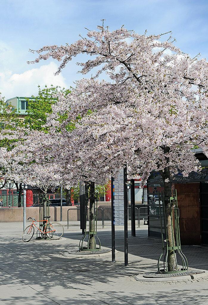 Nära till kommunikationerna på Järntorget