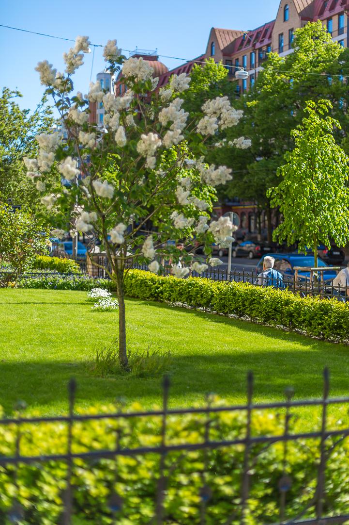 Föreningen utgör hörnet mot Linnégatan