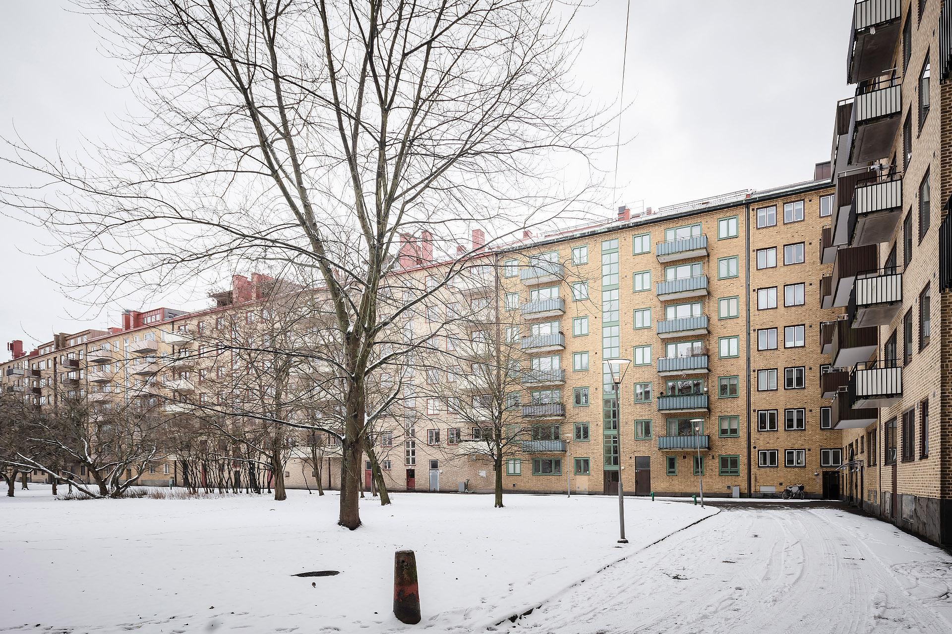 På husets baksida ligger den underbara Gubberoparken