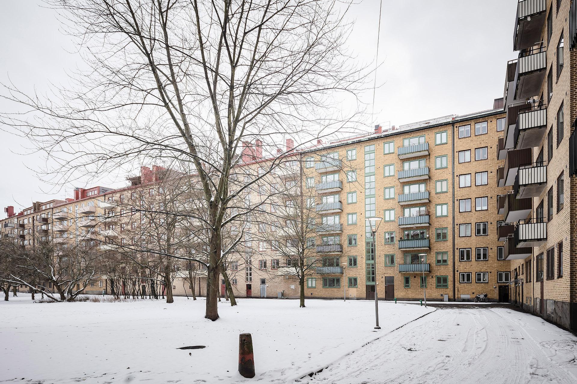 På husets baksida ligger den underbara Gubberoparken