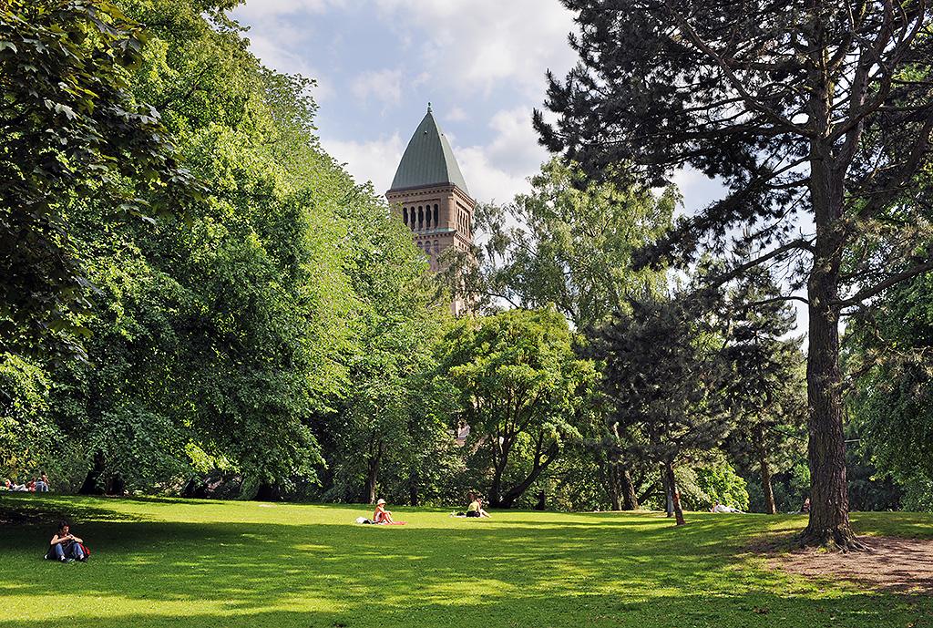 Njut av grönskan i Vasaparken