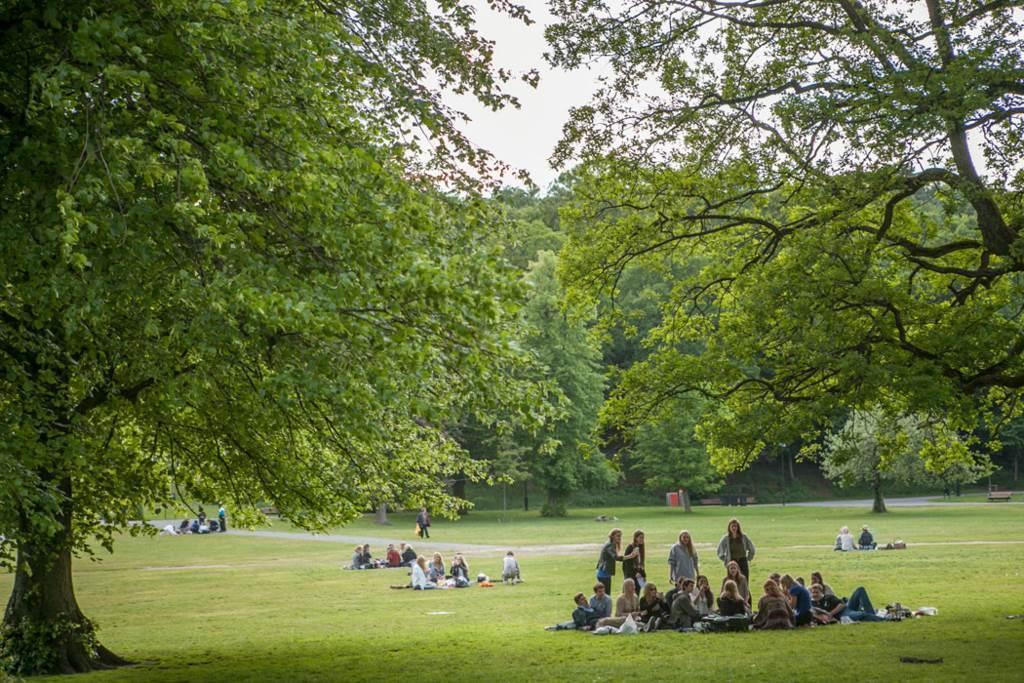 ..och Slottsskogens grönska nås endast en stenkast bort