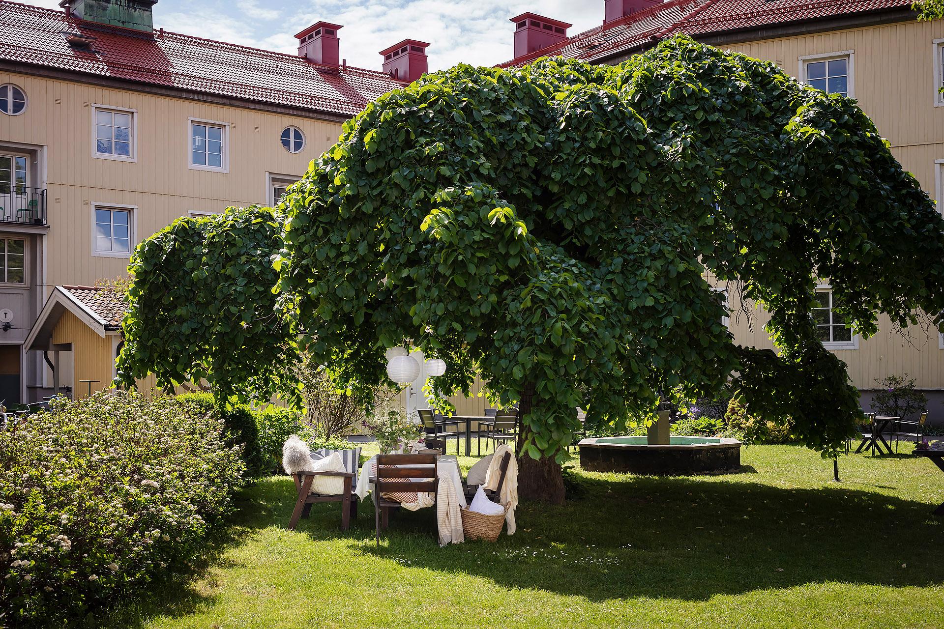 Gården är en grön oas under sommarhalvåret