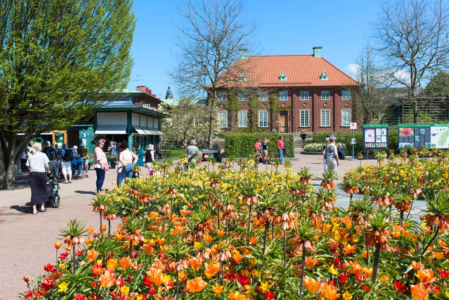 Botaniska trädgården nås på bara några minuter