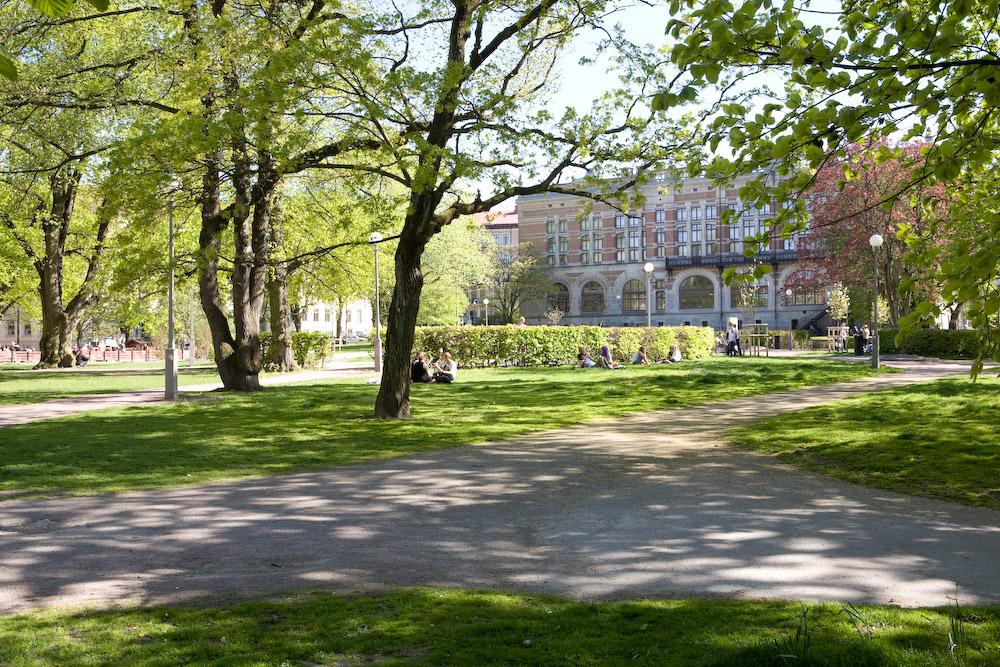 Hagaparken på andra sidan gatan