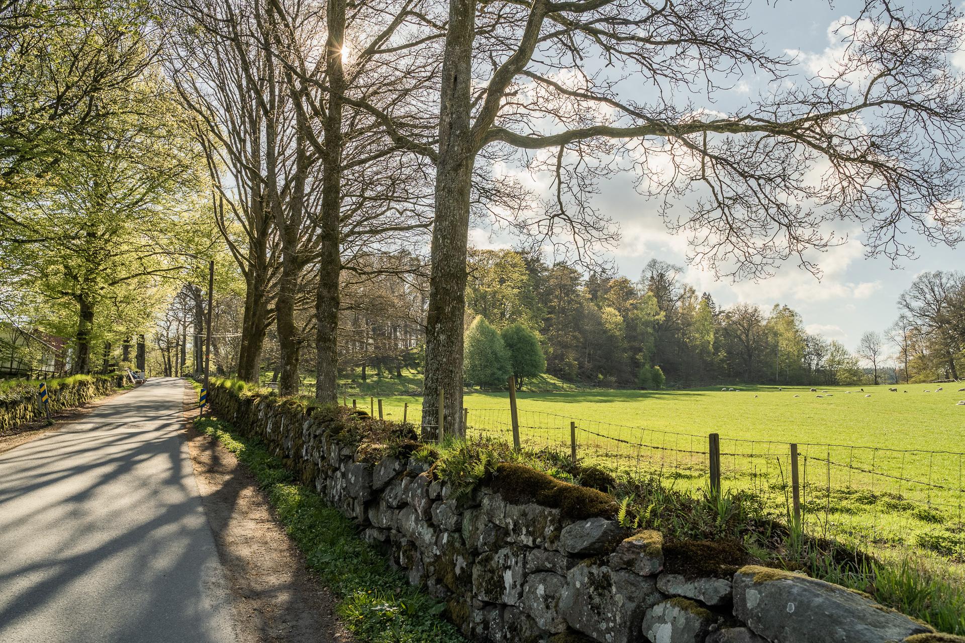 Vackra promenadvägar och friluftsområden