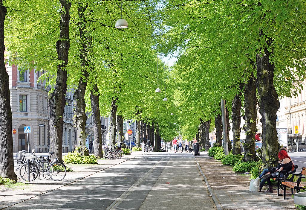 Vasagatans grönskande allé ligger runt hörnet