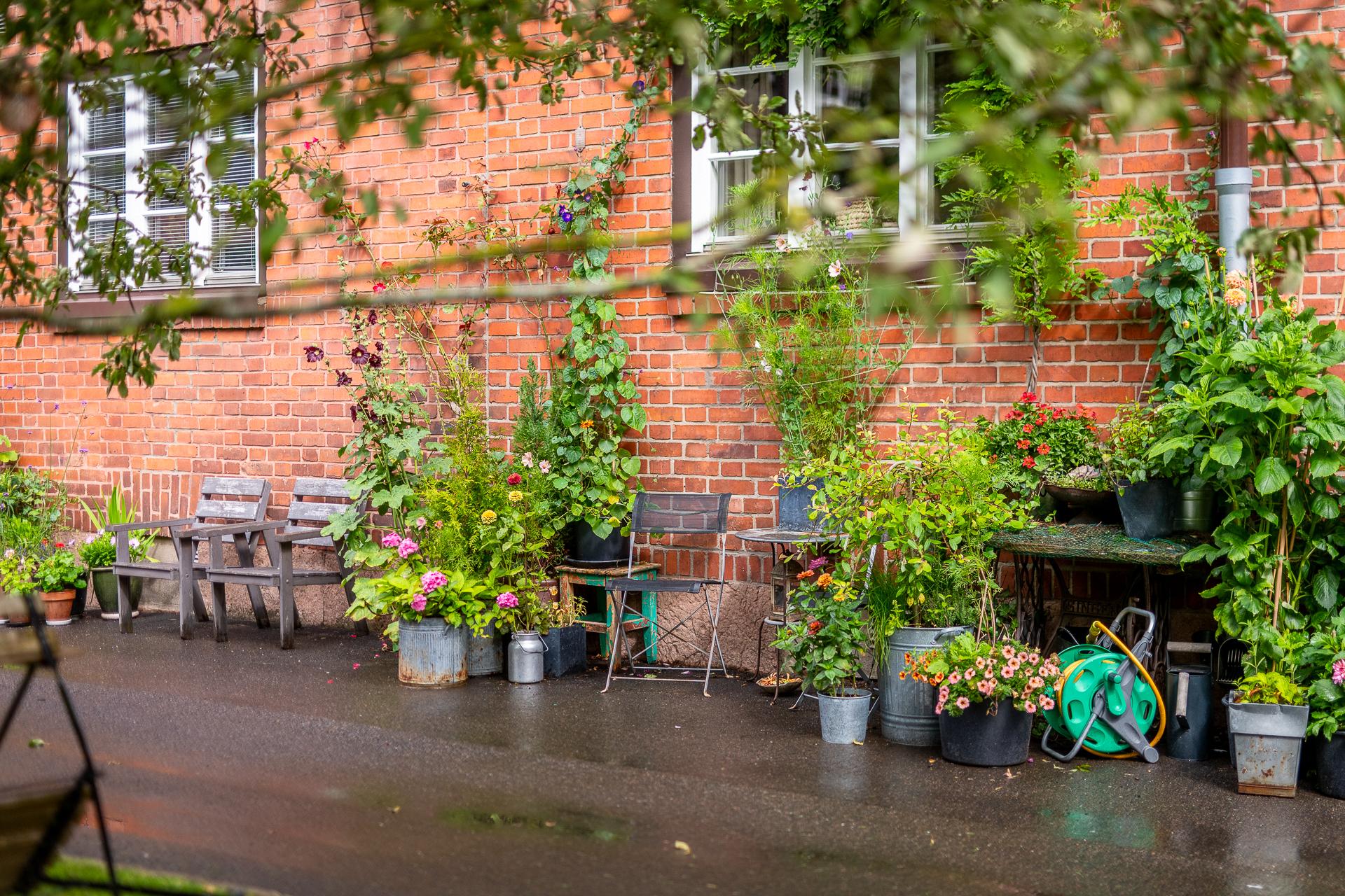 Odlingsglädjen kring gården är stor