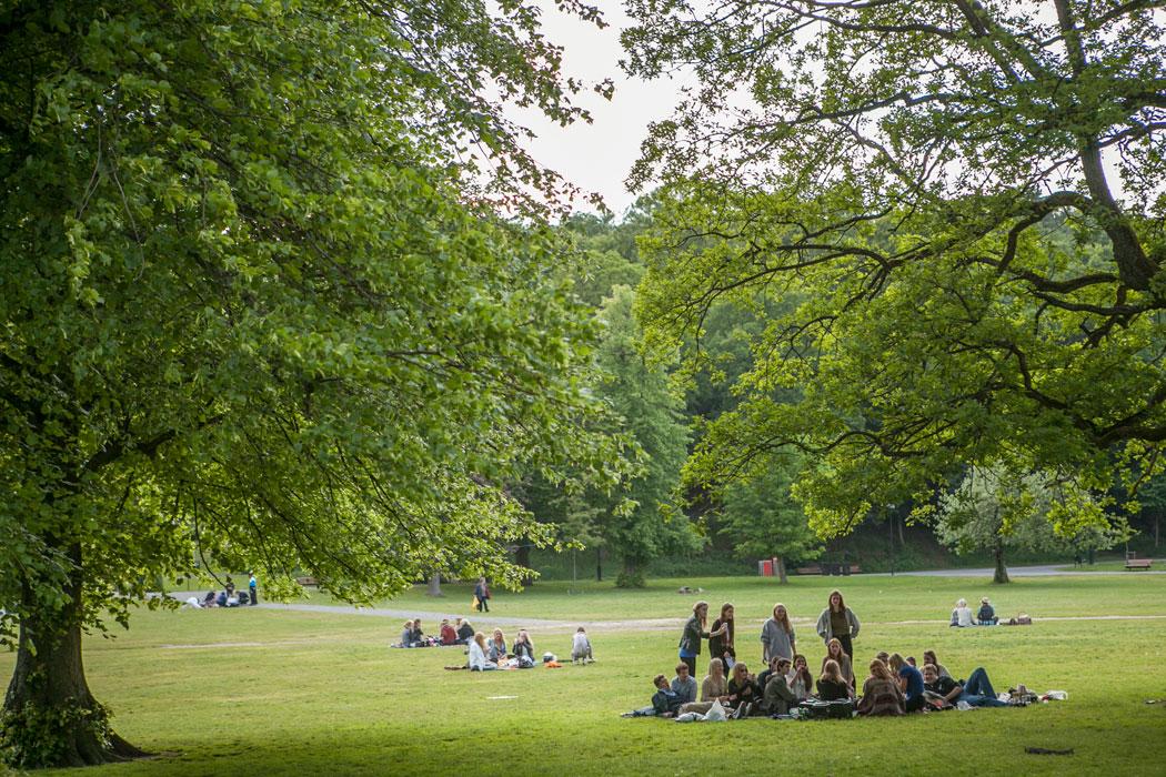 Omedelbar närhet till Slottskogen