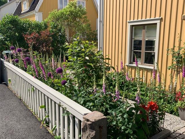 Säljarbild - trädgård