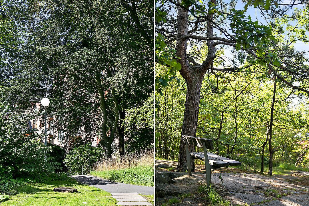 En grön oas mitt i bostadskvarteret