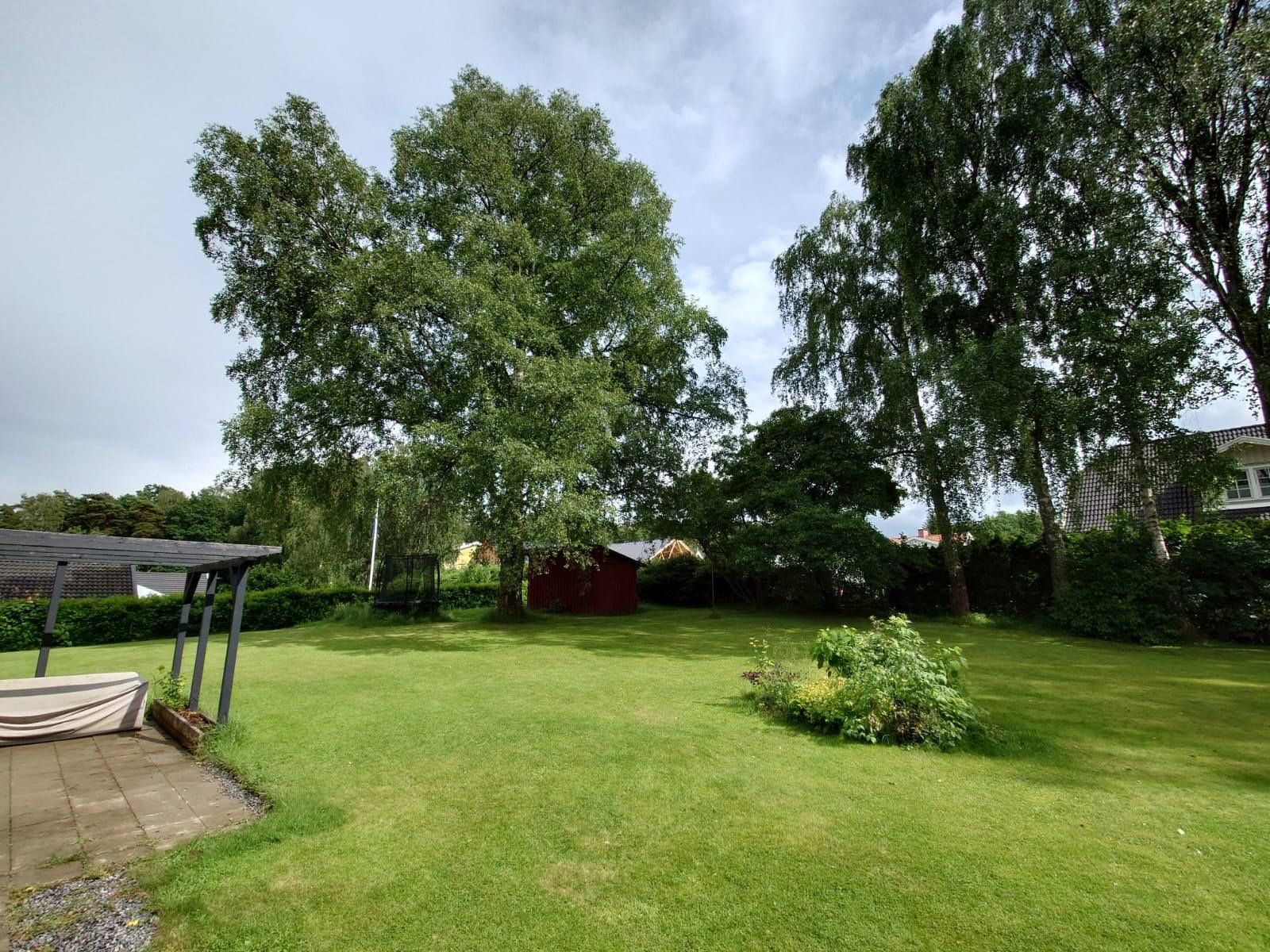 Säljarbild - trädgård vår/sommar