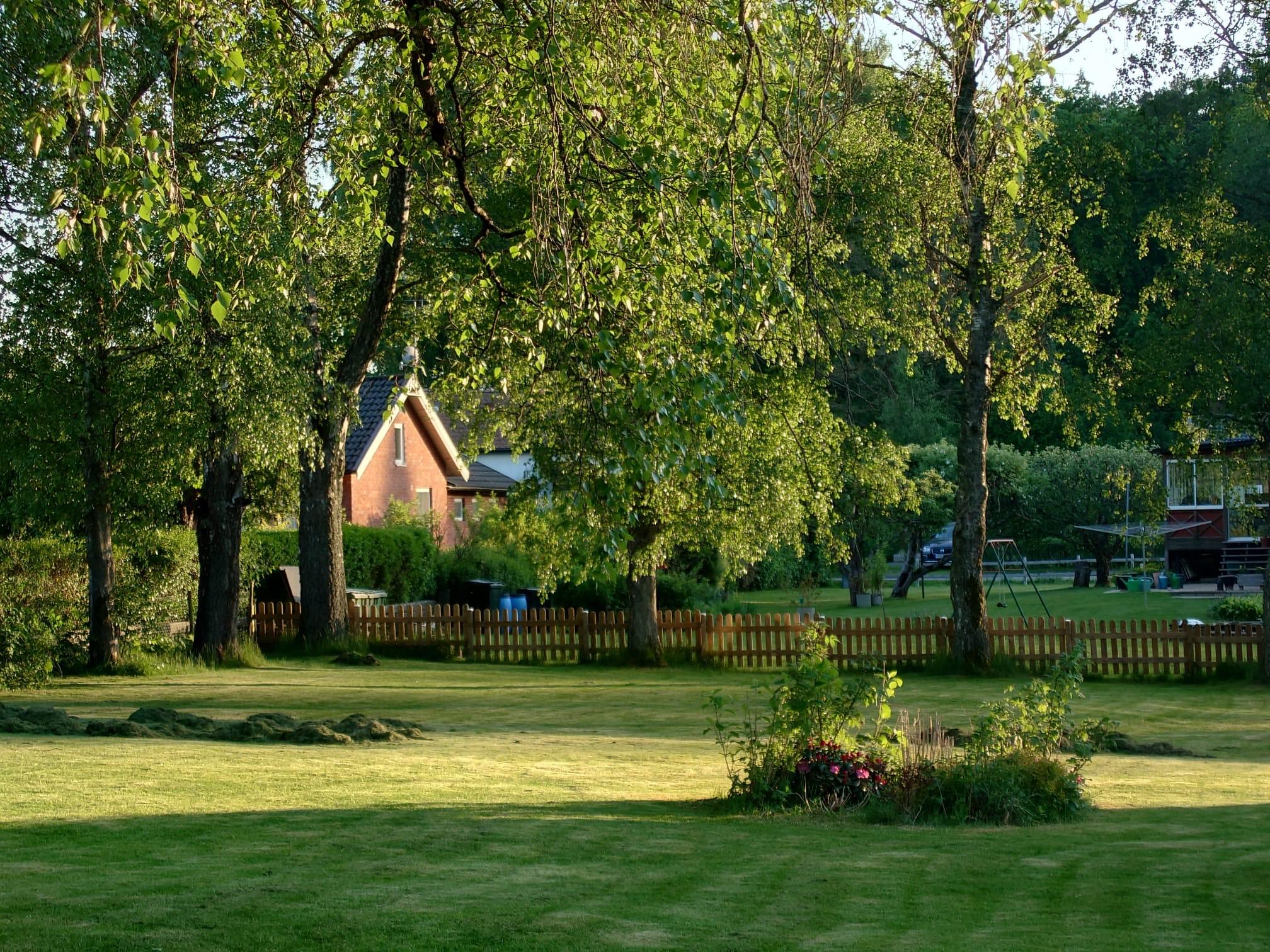 Säljarbild - trädgård vår/sommar