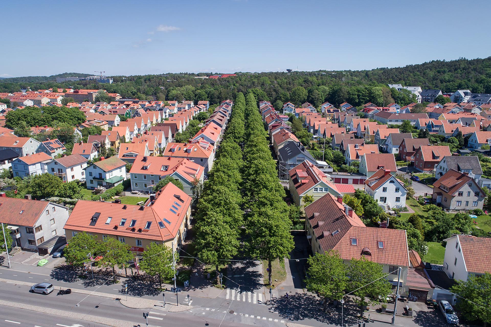 Ett lummigt närområde med skogen alldeles nära