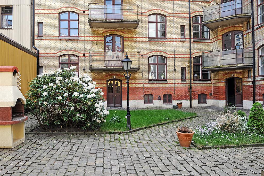 Föreningen är ovanligt välskött