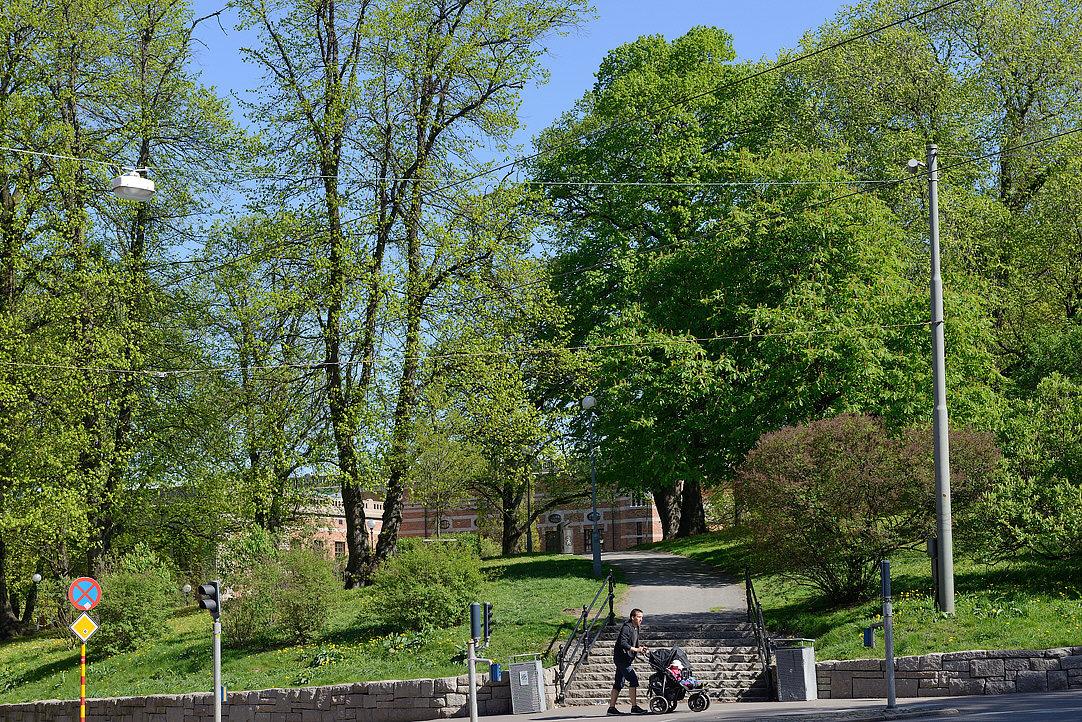 Via en kort promenad nås Vasaparken