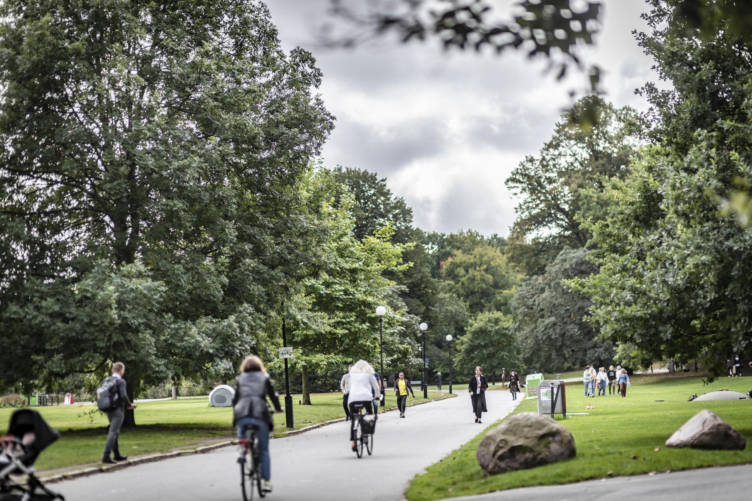 Njut av närheten till Slottsskogen