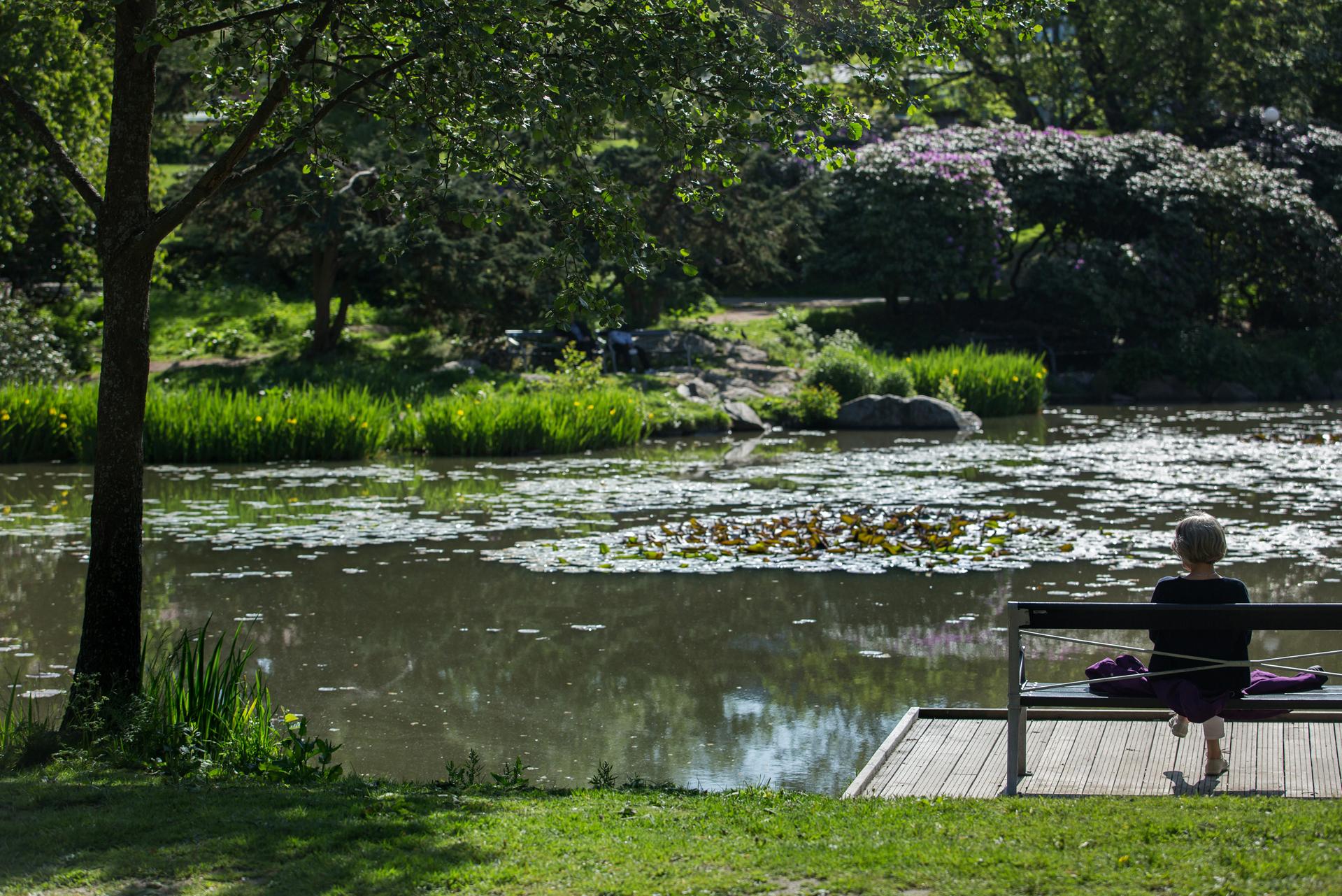 Par minuters promenad till Näckrosparken