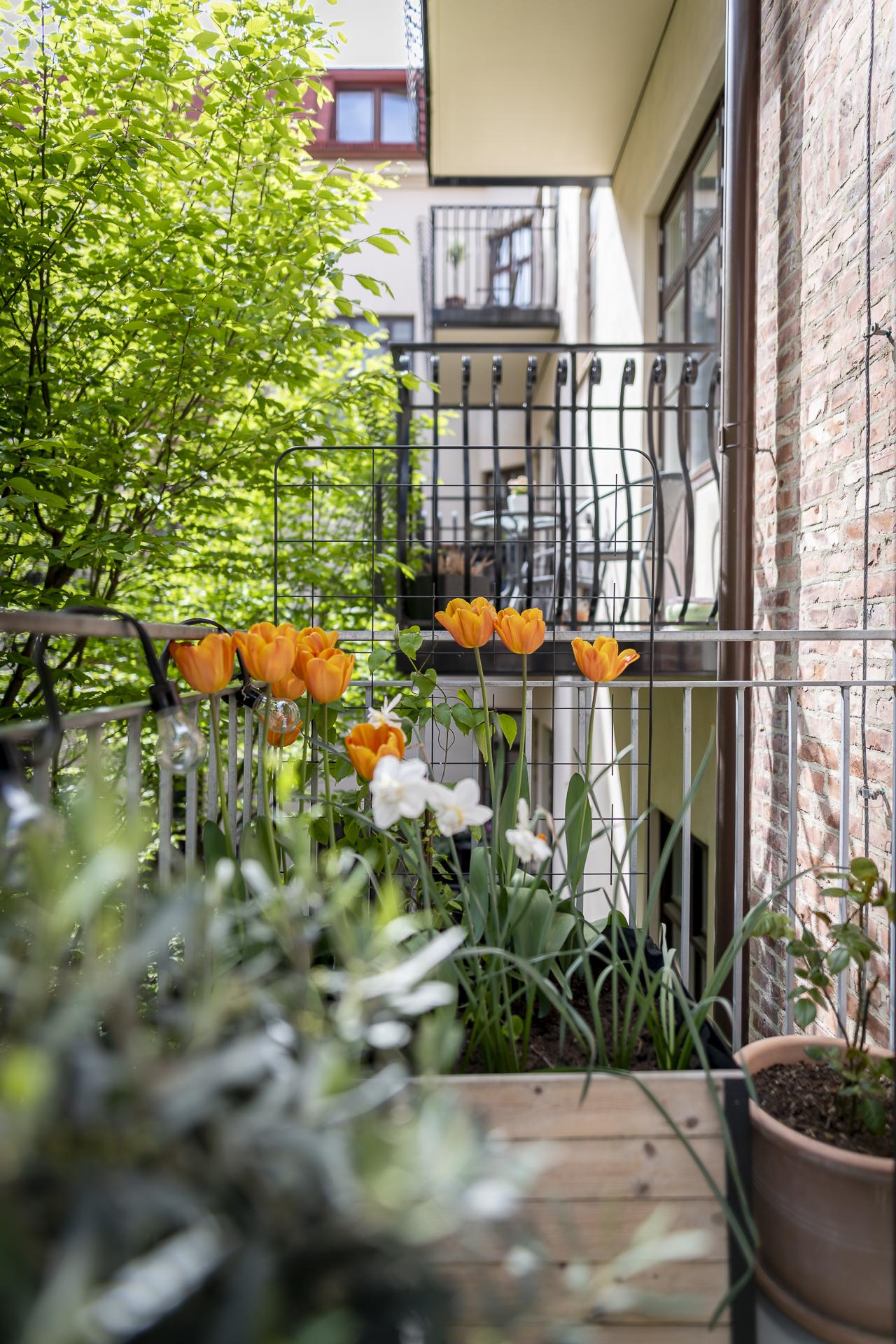 Superlummig och mycket välskött innergård