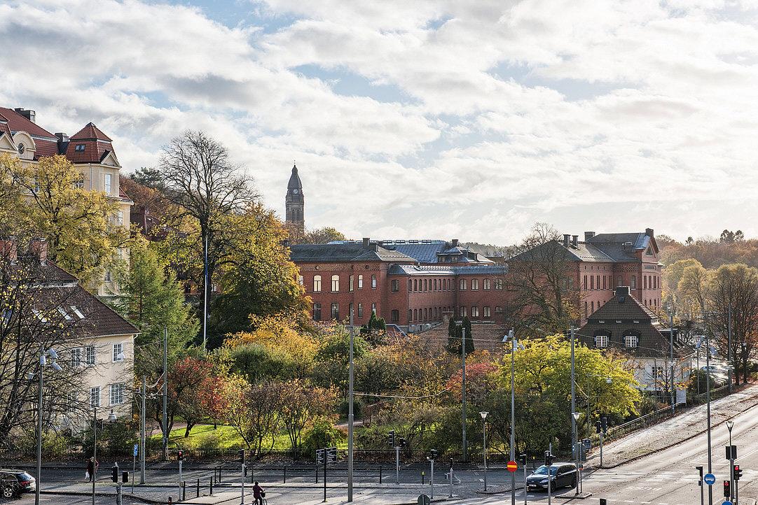 Fri utsikt över grönskan & himlen