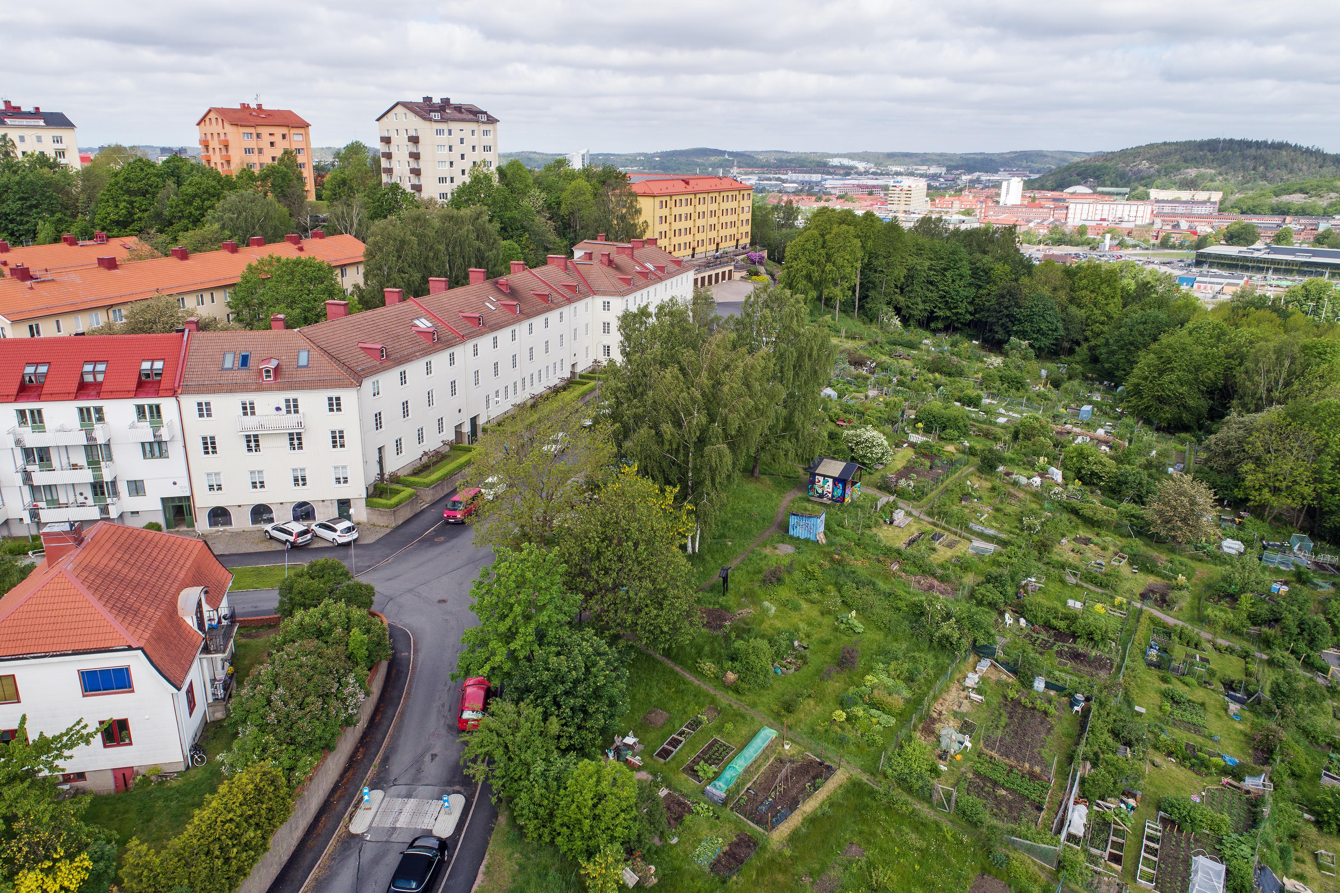 Här bor man granne med Kristinedals odlarförening