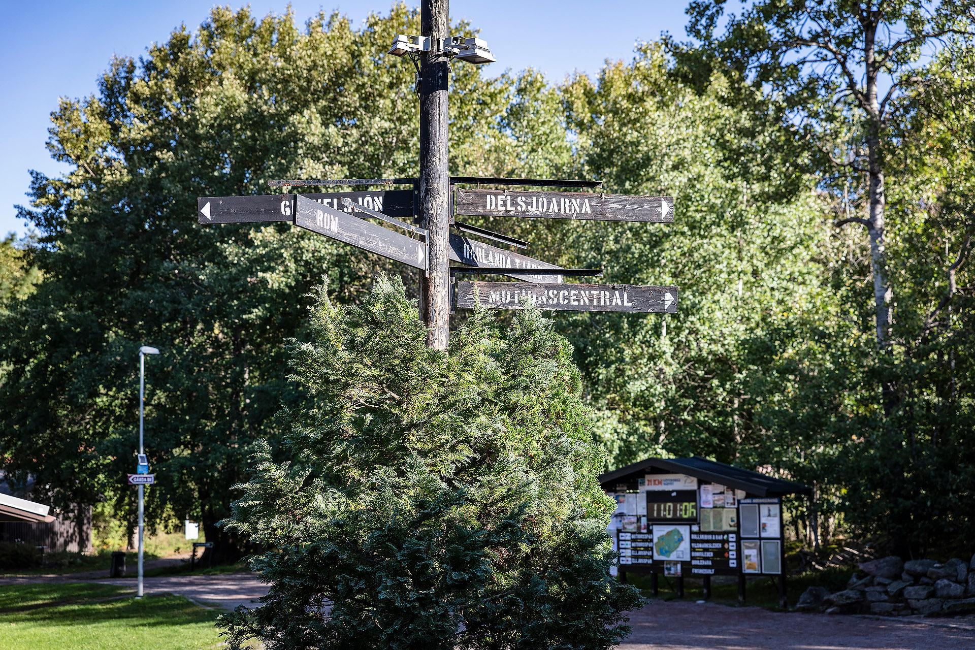 Njut av grönskan i Skatås