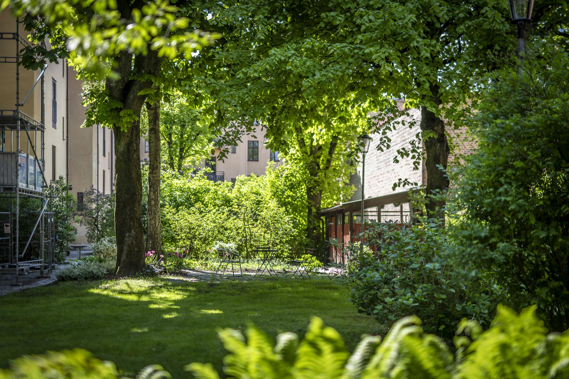 Föreningens grönskande uteplats
