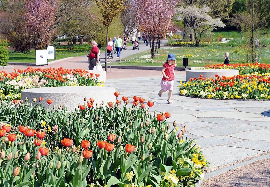 Nära till Slottsskogen och Botaniska Trädgården