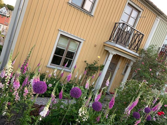 Säljarbild - trädgård