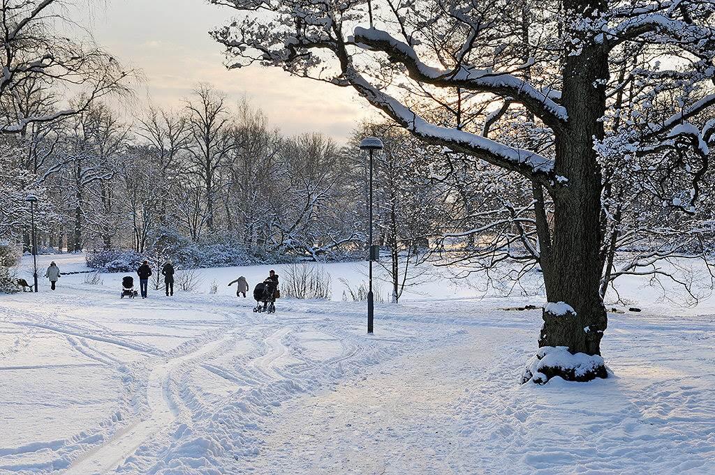 ...sommar som vinter...