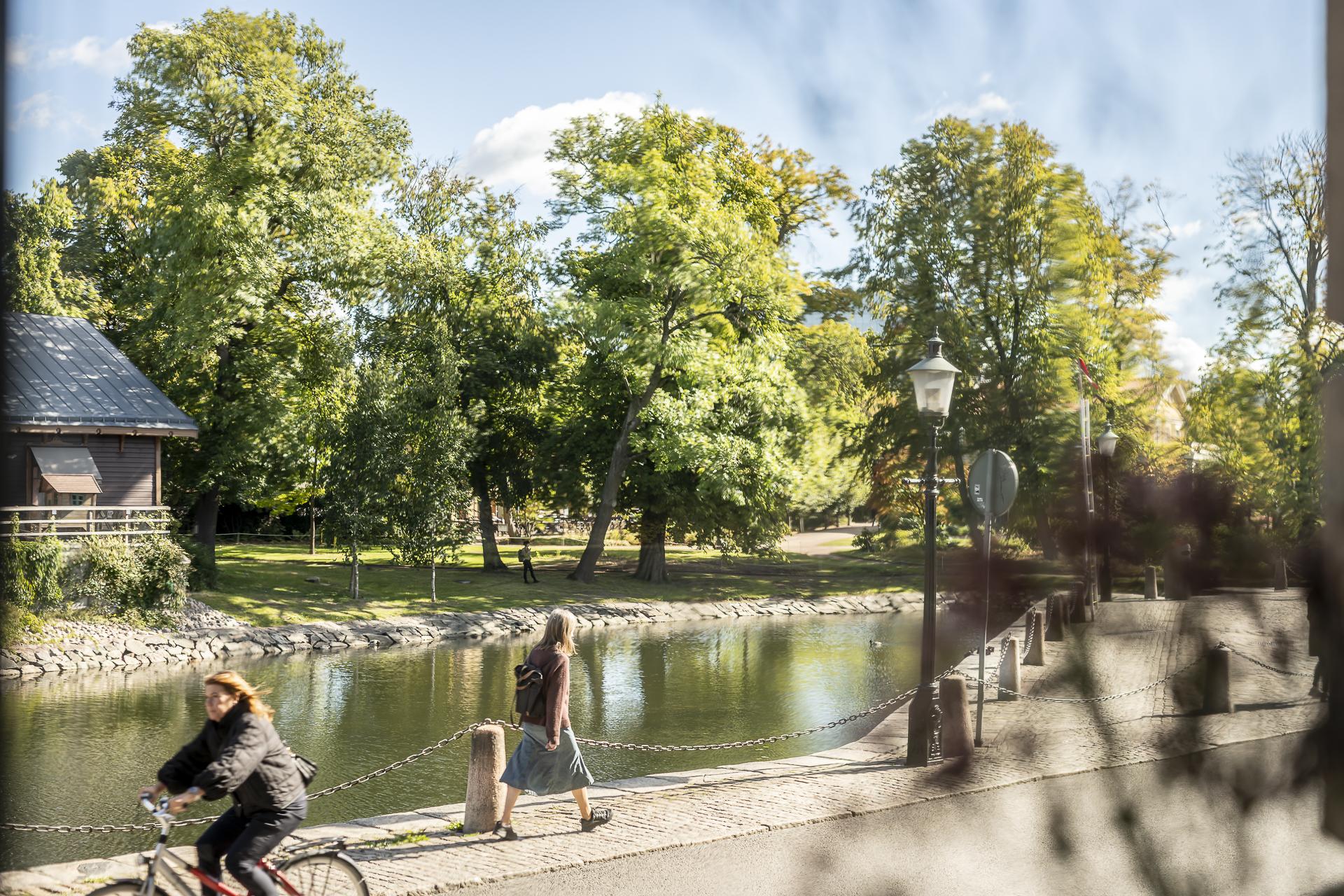 Vy från vardagsrumsfönstret utöver Trädgårdsföreningen, det är svårslaget