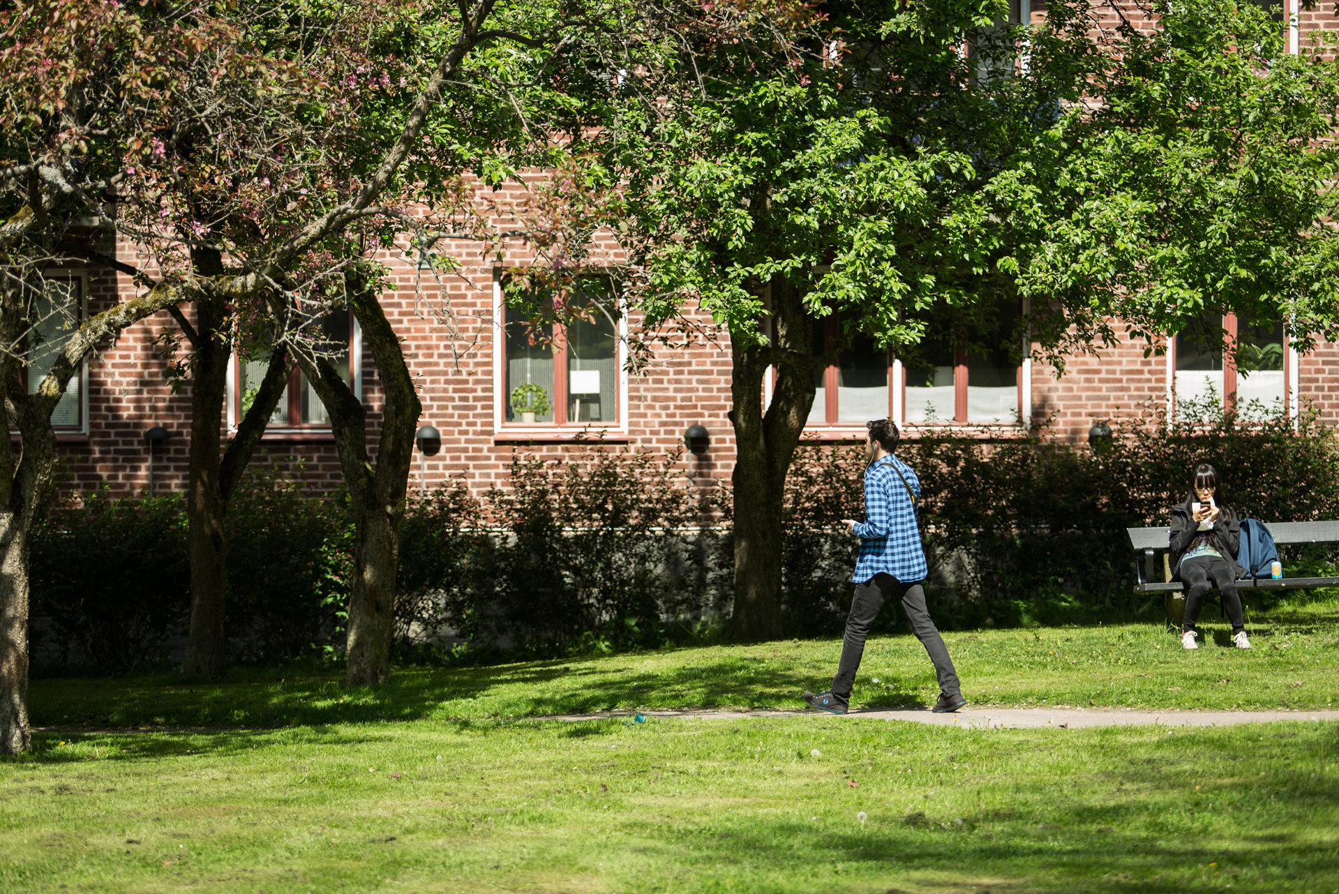 Parken är din närmaste granne