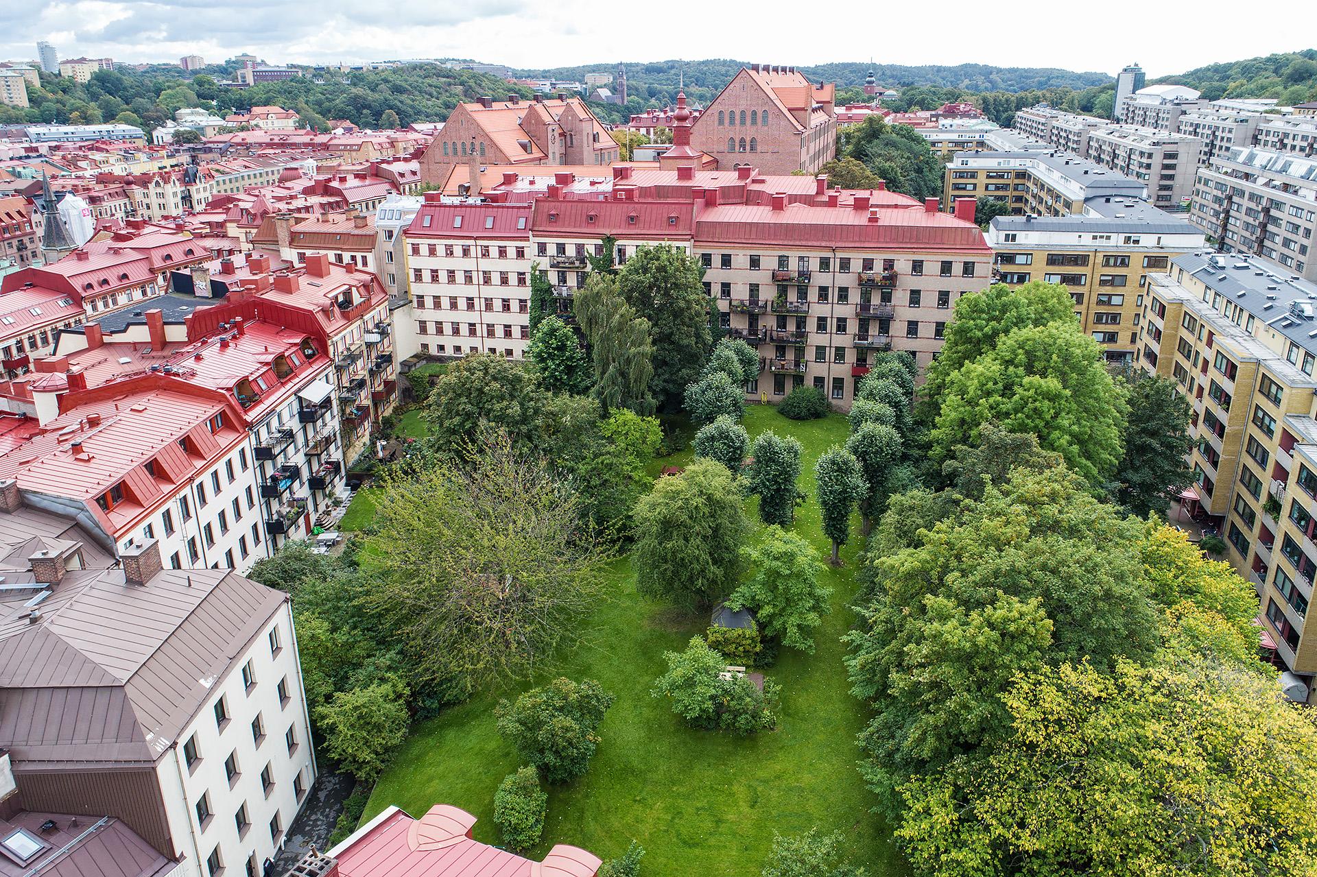 Unik tillgång till Kråkängsparken