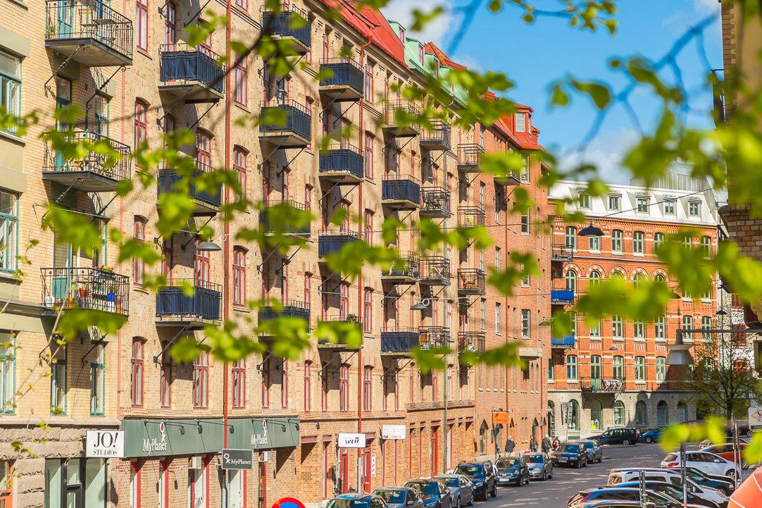 Gatan är en av Linnés populäraste