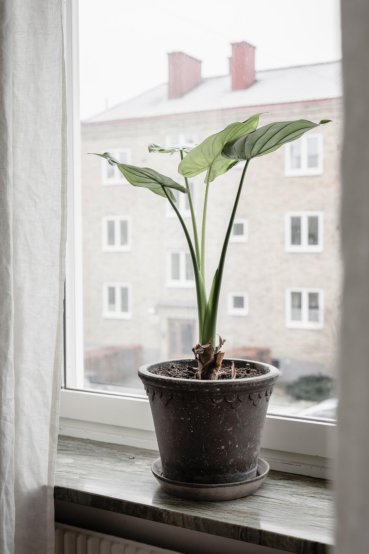 Fönsterbräde i klassisk marmor