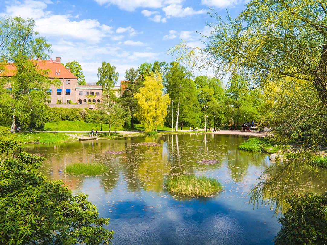 Näckrosdammen utnyttjas flitigt för såväl gamla som unga