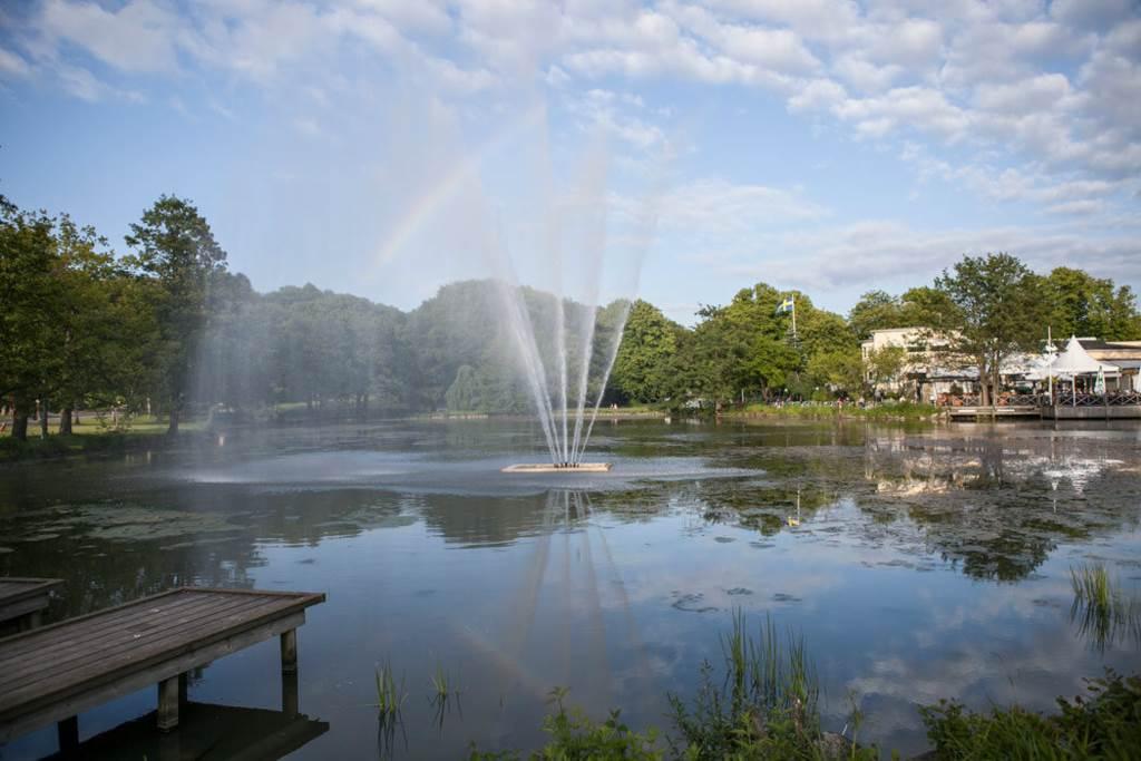 Slottsskogens grönska ger härlig kontrast...